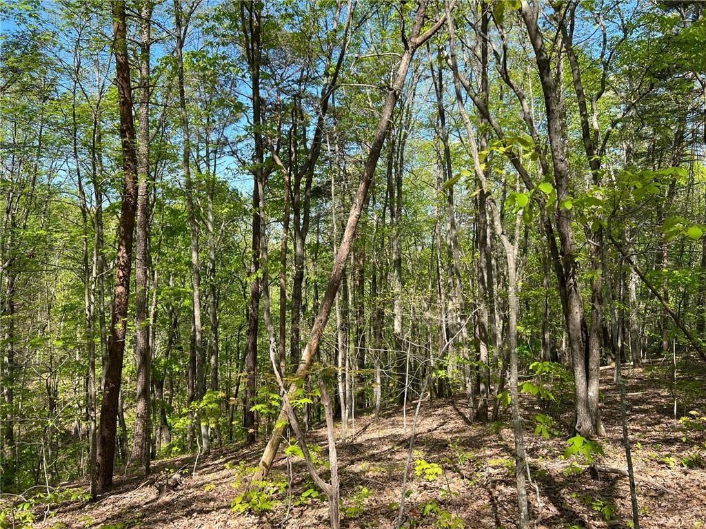 269 Appleberry Mountain Rd., Waleska, GA 30183