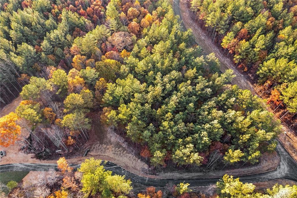 475 Spring Ridge Path, Dallas, GA 30132