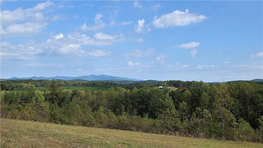 225 Bear Creek Rd., Talking Rock, GA 30175