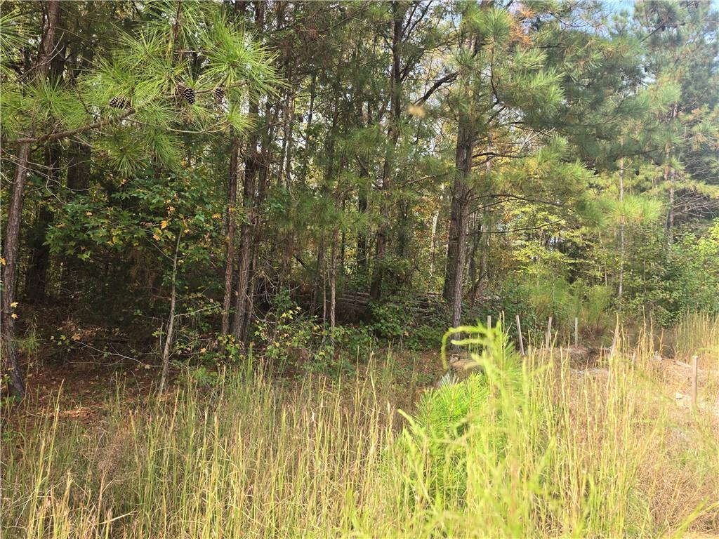 188 Belford Way, Jackson, GA 30233