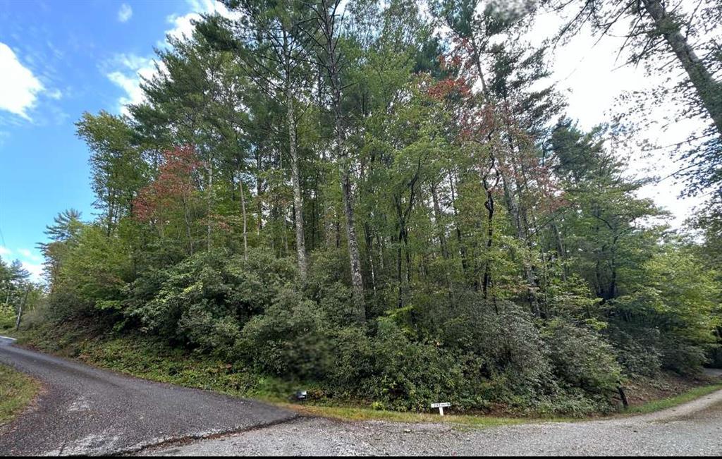 LOT 5 Sequoia Hills Ln., Clayton, GA 30525