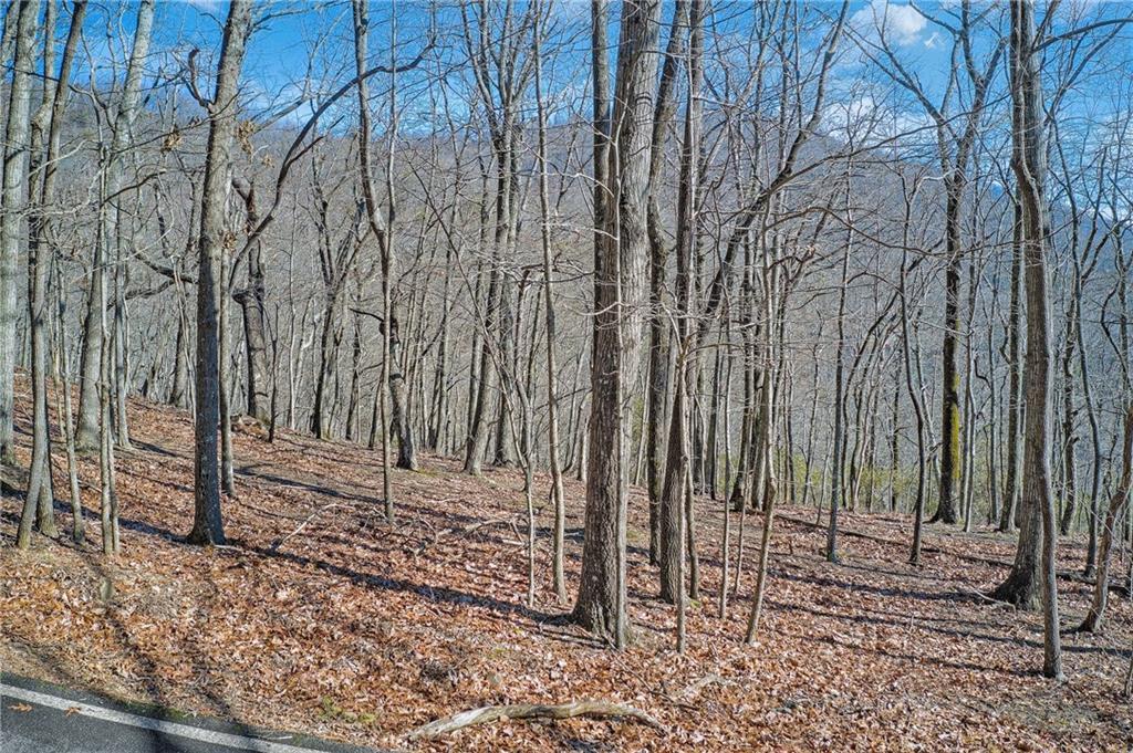 6354 Huckleberry Tr., Jasper, GA 30143