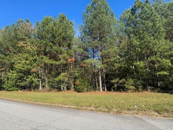 4020 Gold Springs Pass, Villa Rica, GA 30180
