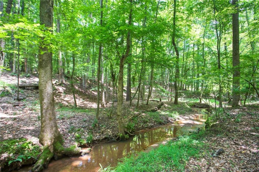 LOT20A Tanglewood Rd., Newnan, GA 30263