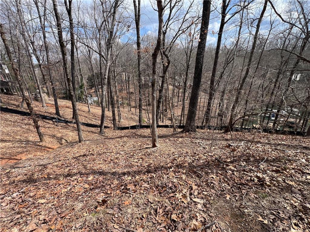 3393 Banks Mountain Dr., Gainesville, GA 30506