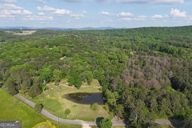 87 Old Martin Rd., Cartersville, GA 30120