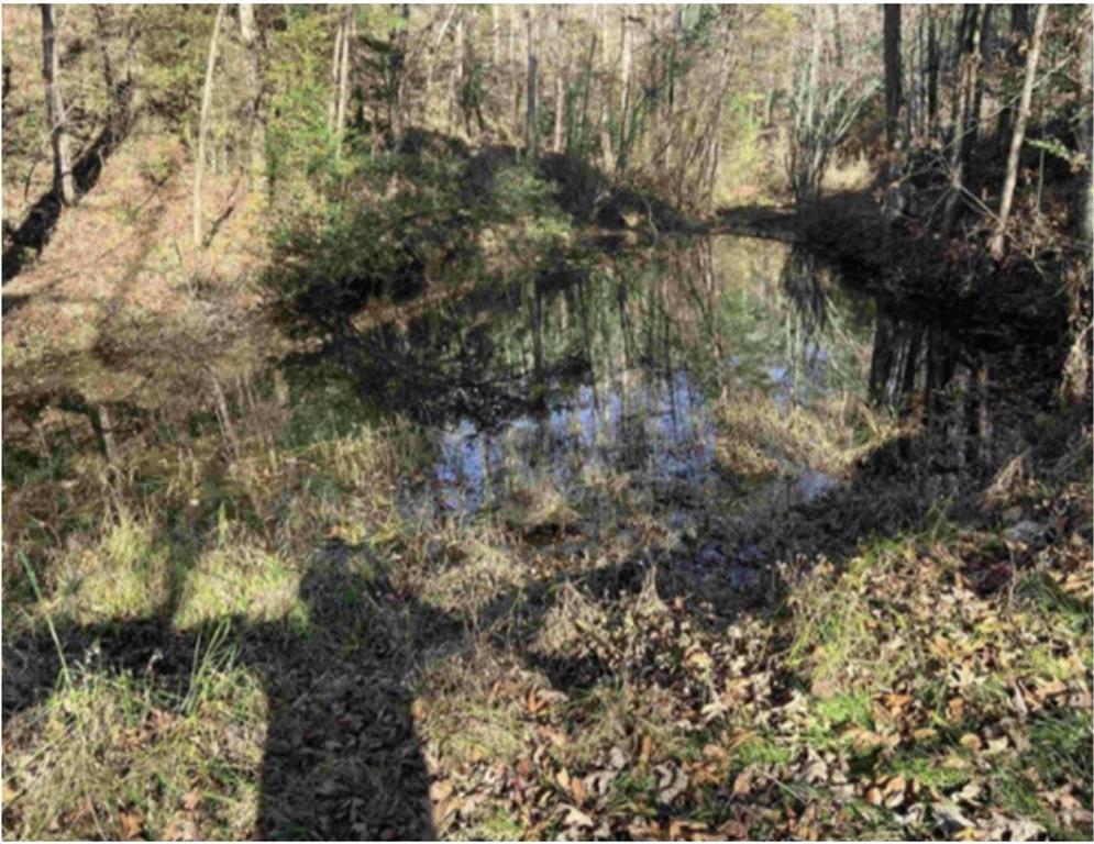 Riveredge Ln., Ellijay, GA 30540