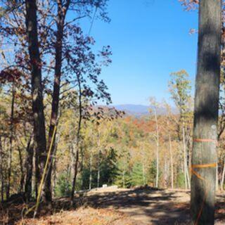 977 Raccoon Ridge, Ranger, GA 30734