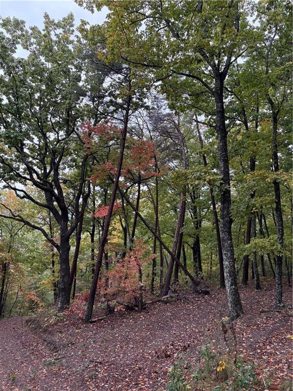 1420 Sunset Tr., Talking Rock, GA 30175