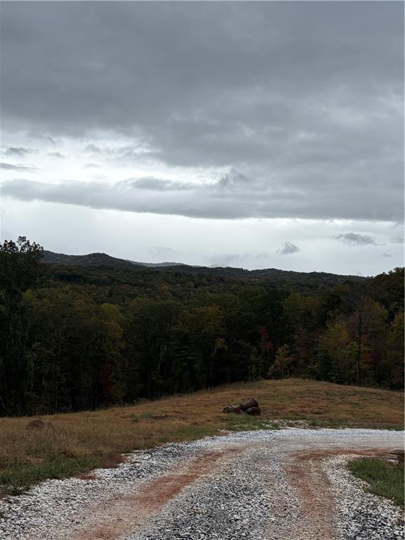 1600 Sunset Tr., Talking Rock, GA 30175