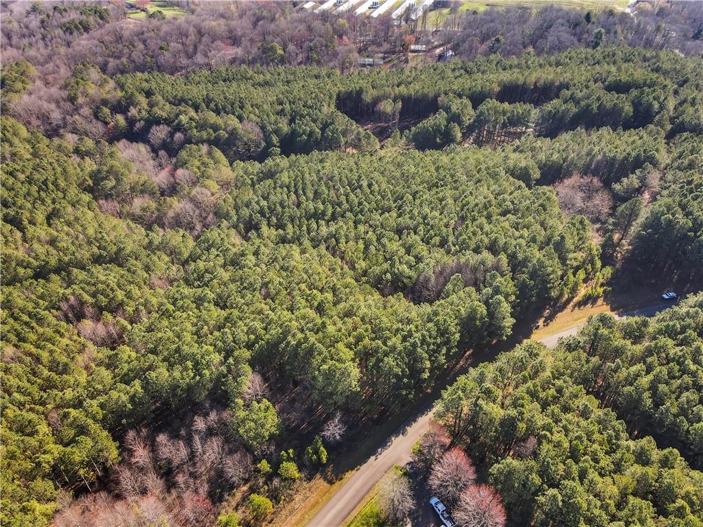 Foxpaw Leaf Ln., Ellijay, GA 30536
