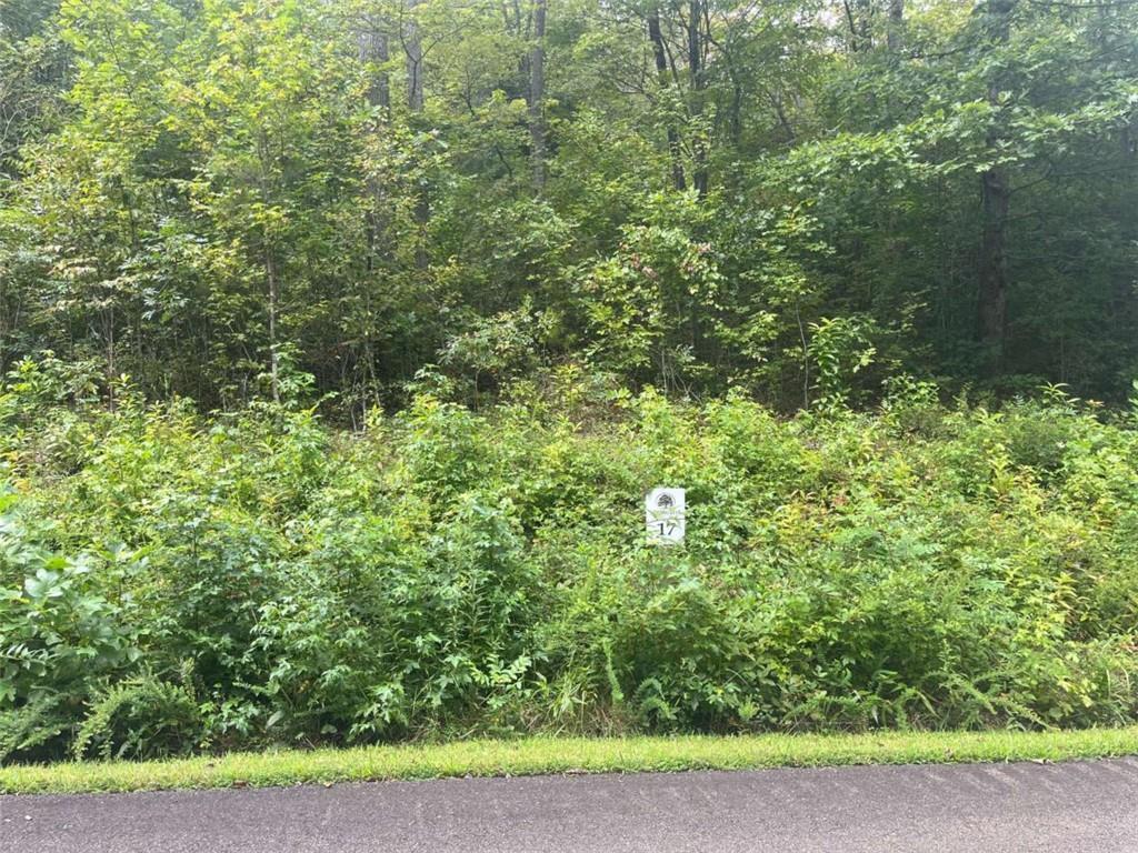 LOT 17 Staurolite Mountain Dr., Blue Ridge, GA 30513