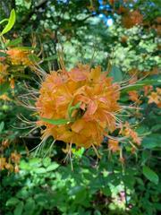 676 High Shoals Rd., Dallas, GA 30132