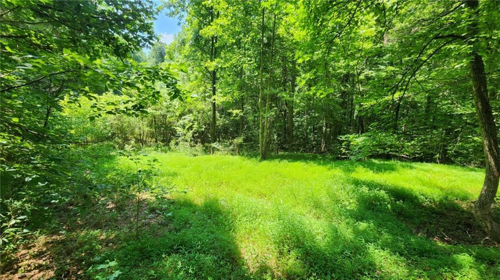 134 Cicero Tr., Dawsonville, GA 30534