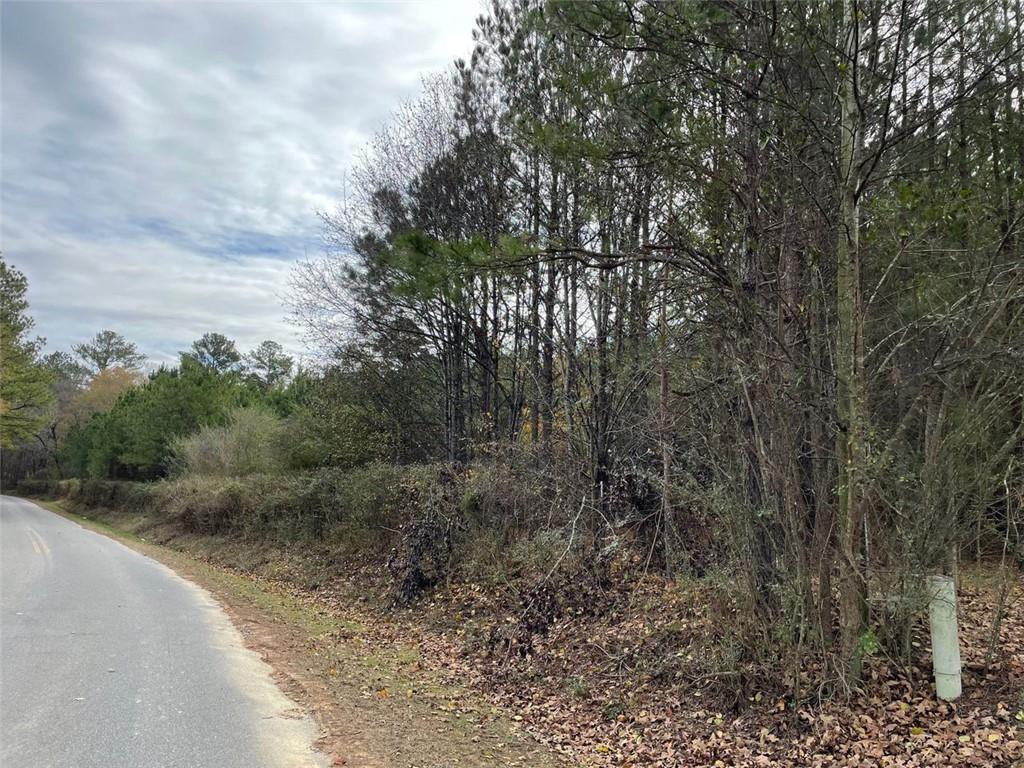 Popham Rd., Taylorsville, GA 30178