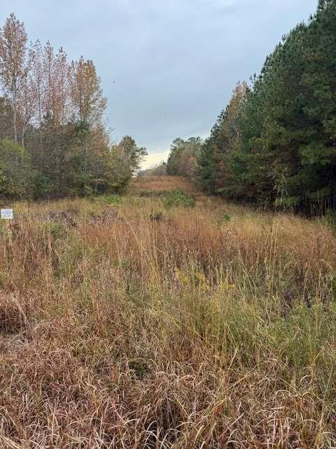 Moran Lake Rd., Rome, GA 30165