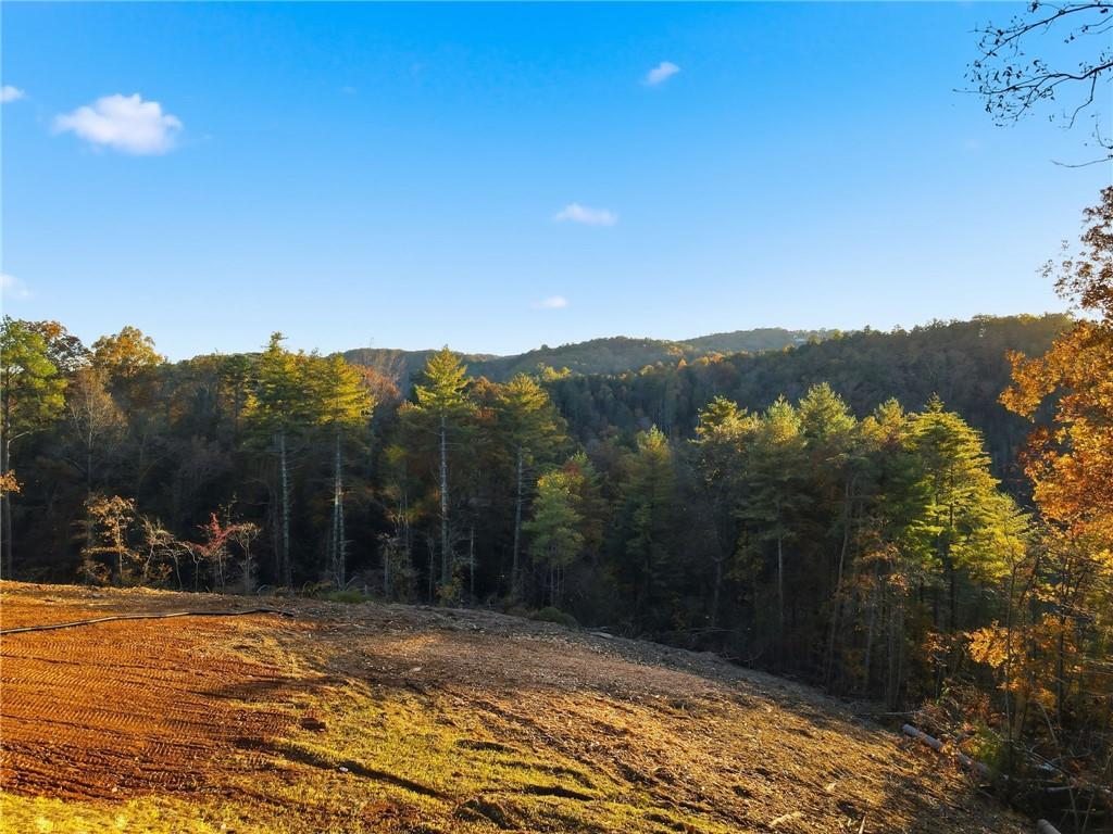 1783 Hunter Dr., Ranger, GA 30734