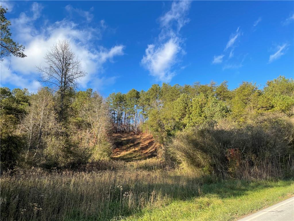 Whitestone Rd., Talking Rock, GA 30175