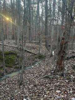 00 River Ridge Tr., Sparta, GA 31087