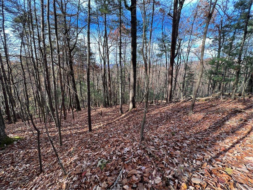 J214 Walnut Mountain Rd., Ellijay, GA 30536