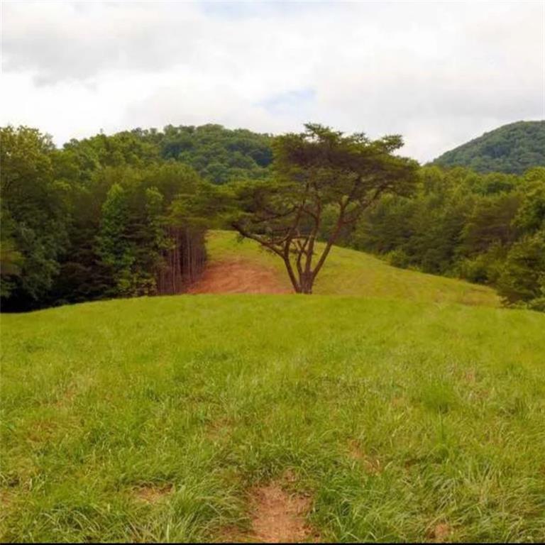 14694 Highway 515, Ellijay, GA 30536