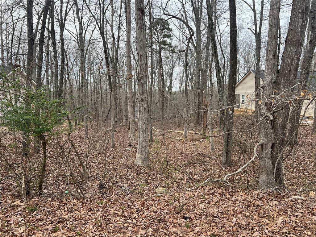 3254 Greenhill Ct., Villa Rica, GA 30180