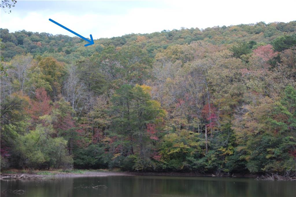 Lot 19 Owl Mountain Rd., Ellijay, GA 30540