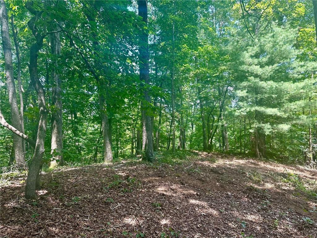 200 Mincey Acres Dr., Murrayville, GA 30564