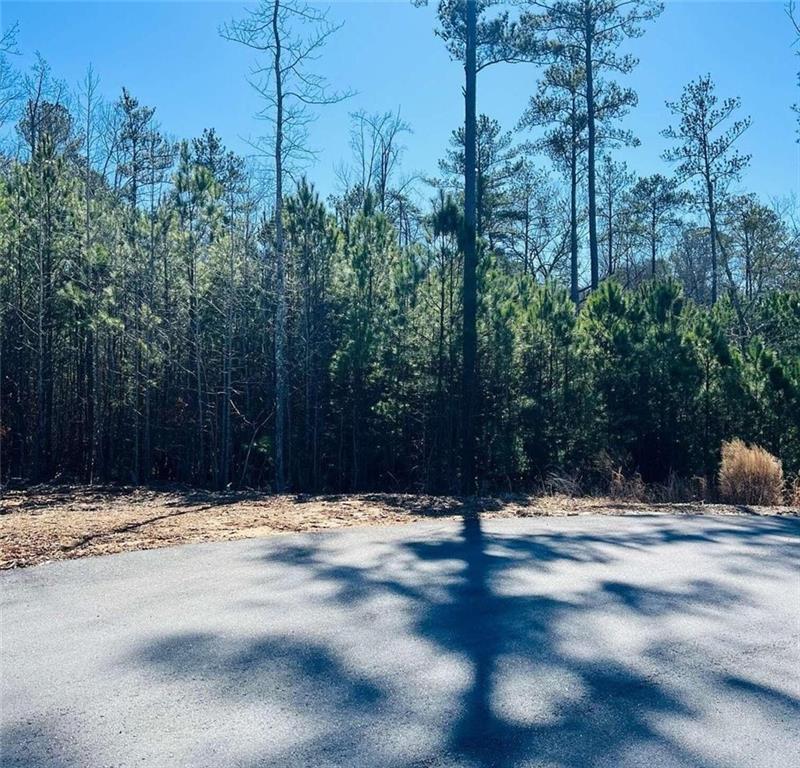 103 Branch Dr., Woodstock, GA 30188