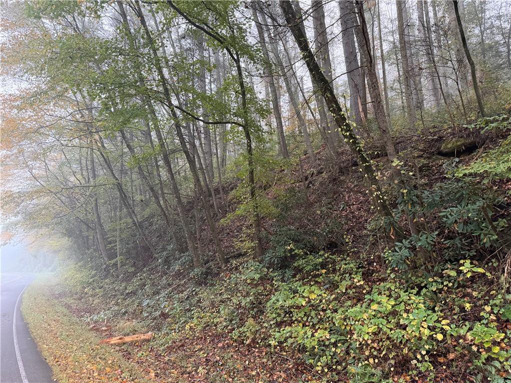 00 Whitepath Rd., Ellijay, GA 30540