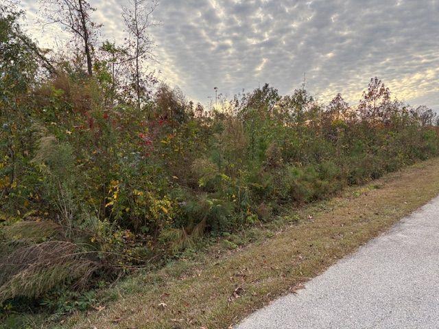 243 Kendall Dr., Griffin, GA 30224