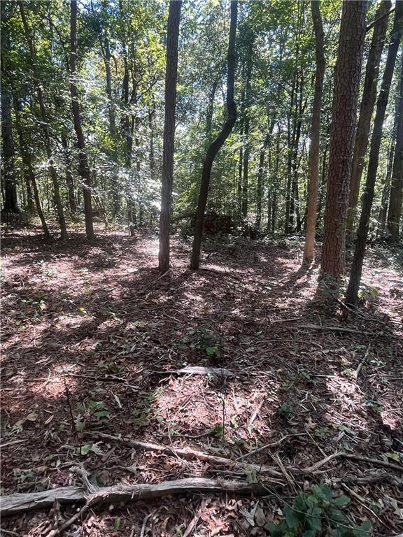 Fairview Farms Cir., Lavonia, GA 30553