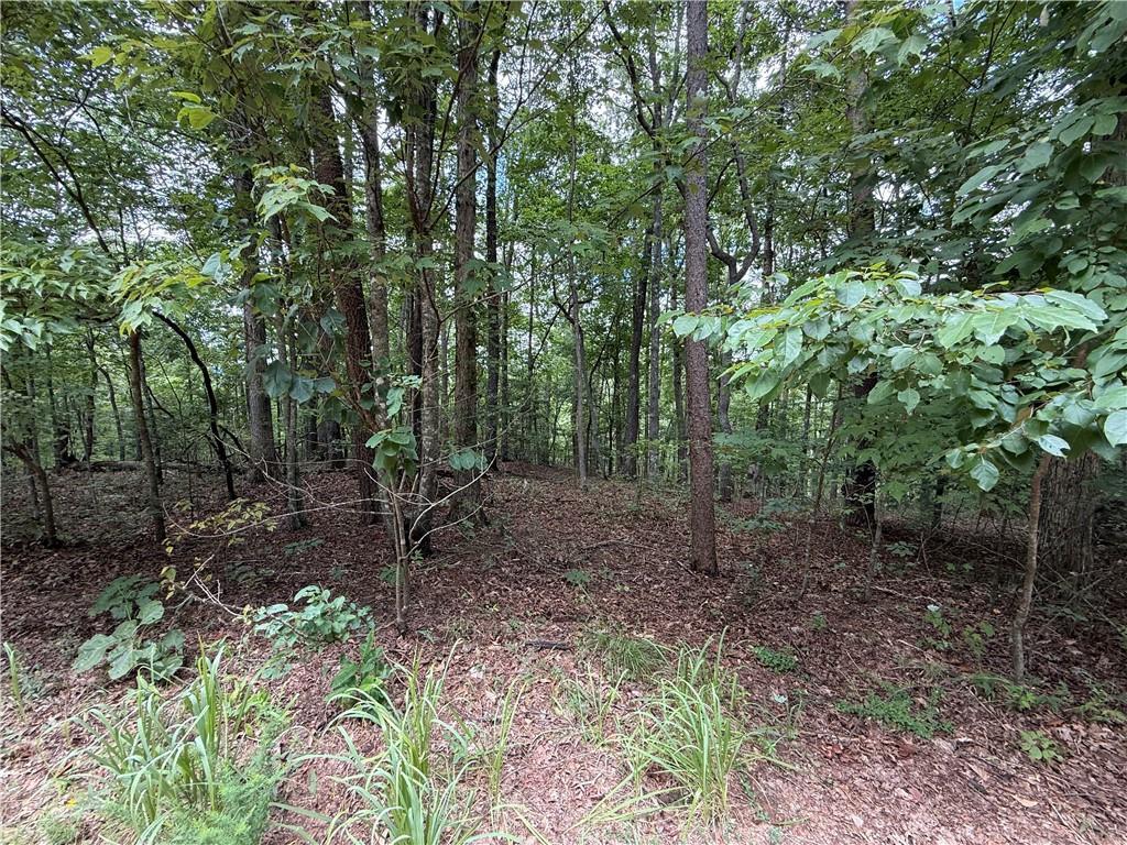 Winters Mountain Rd., Dahlonega, GA 30533