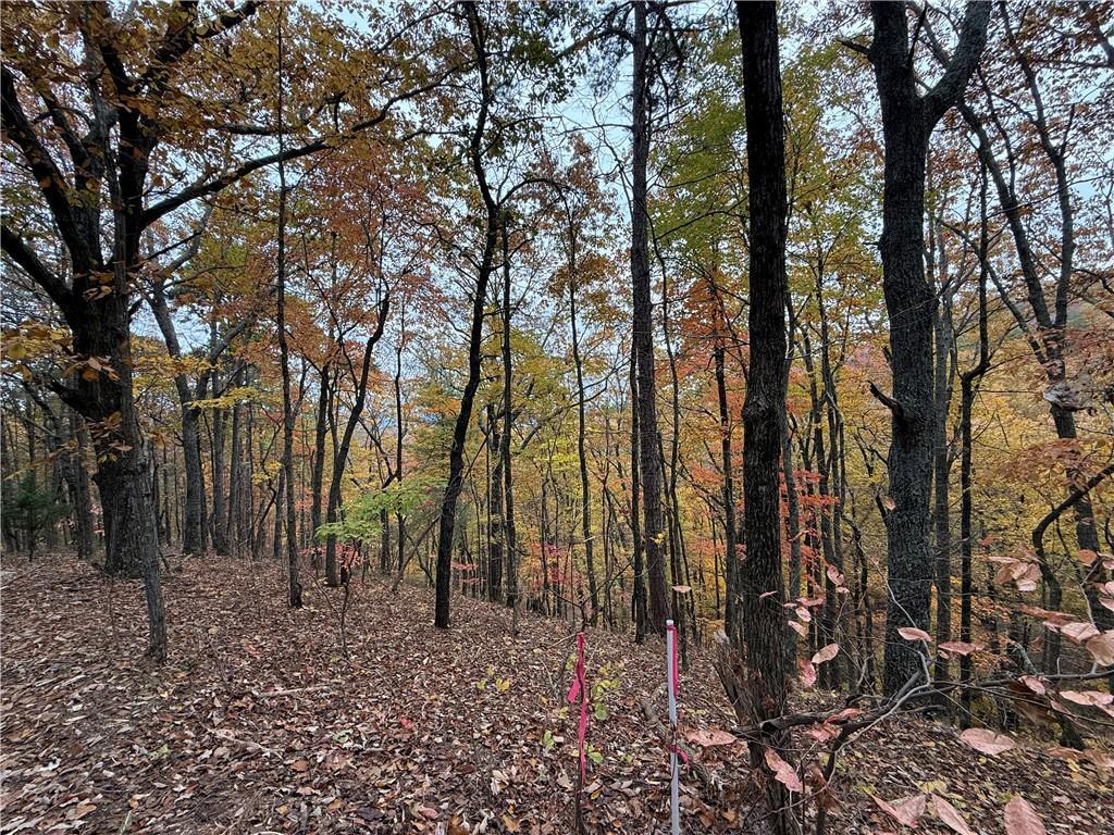 355 Orieole Ct., Ranger, GA 30734