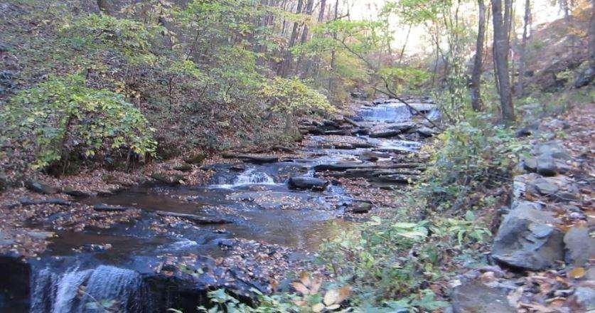 232 Andes Ridge, Ellijay, GA 30540