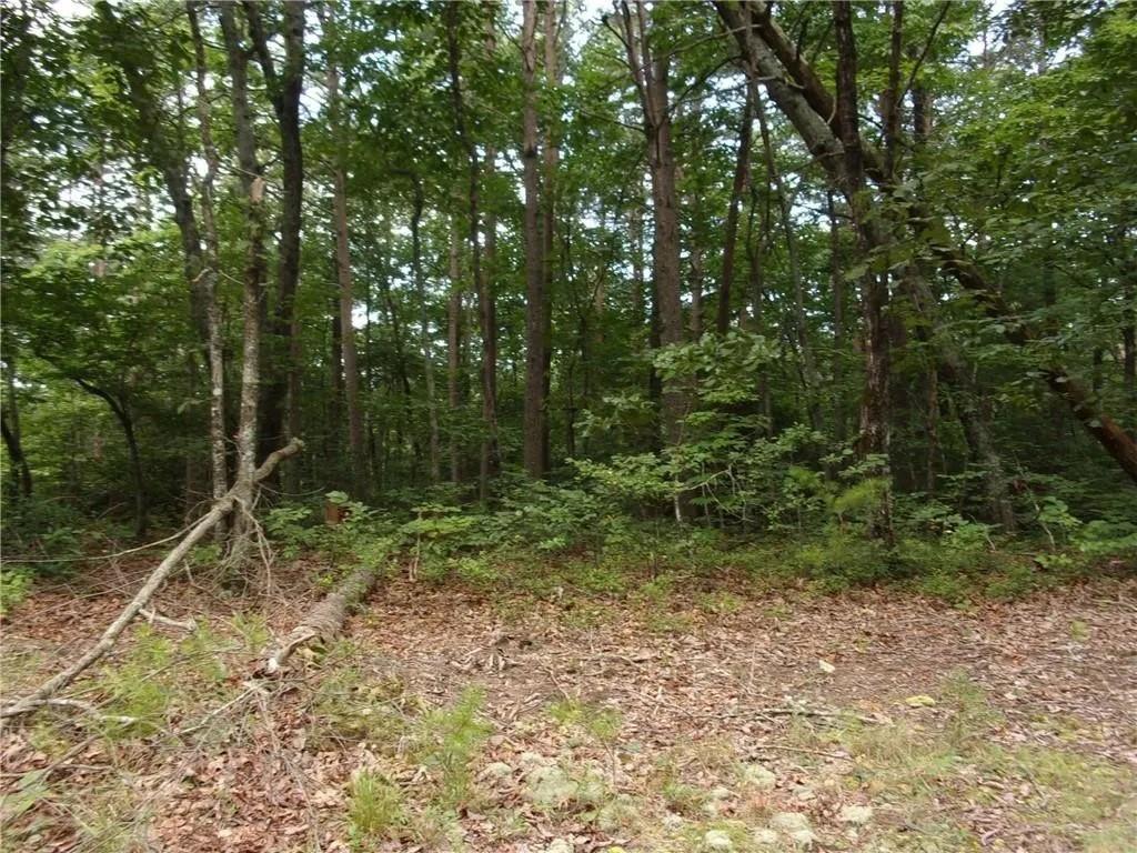 Lot124 Mountain View Rd., Dawsonville, GA 30534