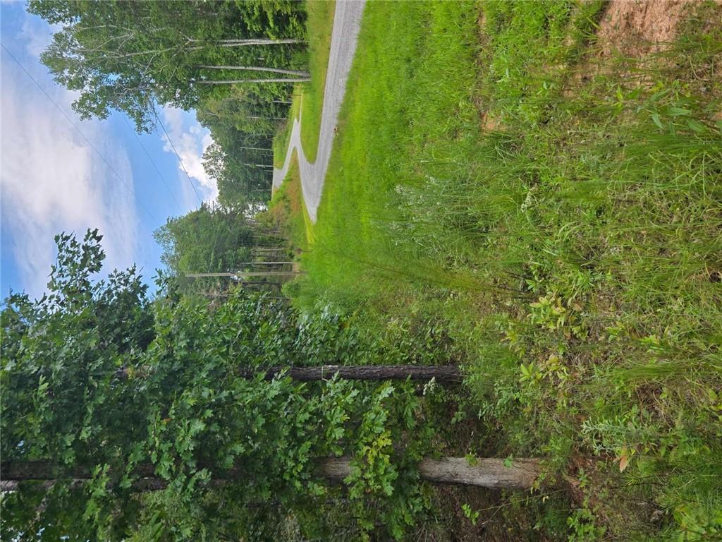 Crayfish Pl., Talking Rock, GA 30175