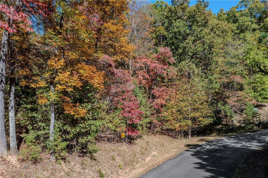 Lot 22 Meadow Brook Tr., Morganton, GA 30560