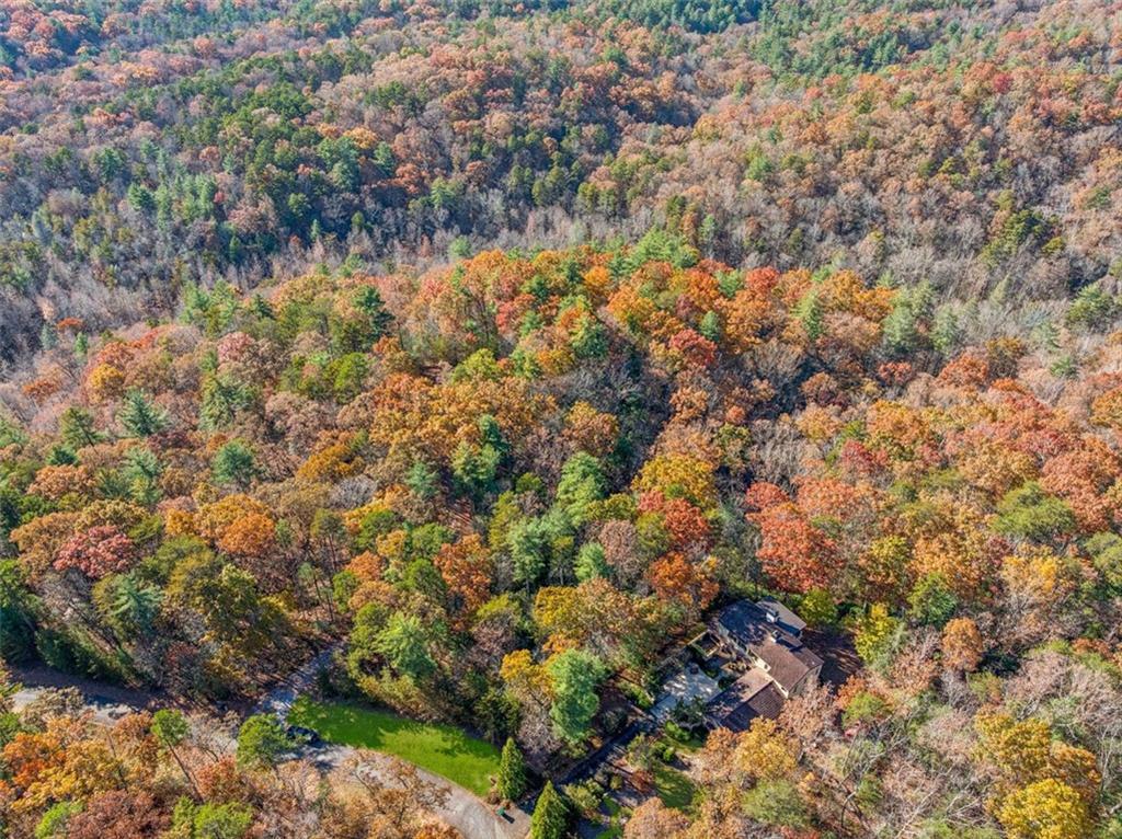 Via Senese, Dahlonega, GA 30533