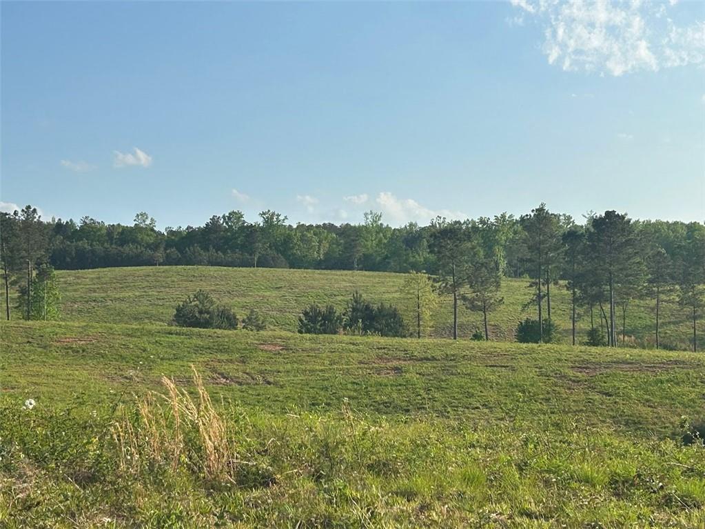 Needmore Rd Unit (345.37 Acres), Roopville, GA 30170