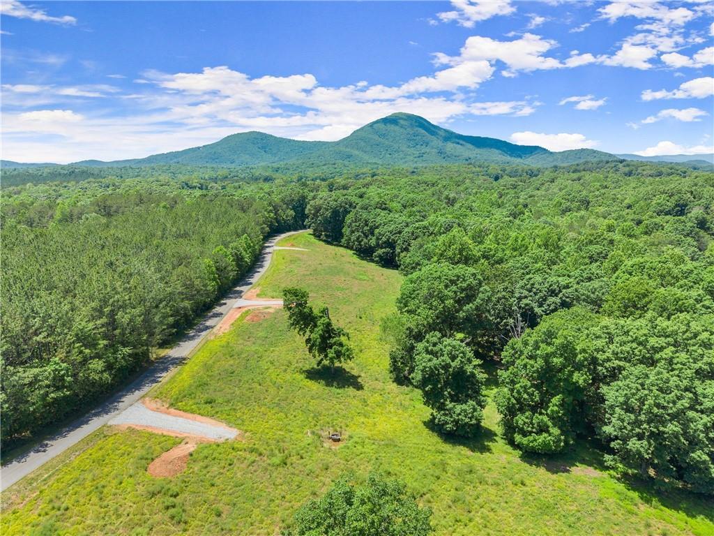 Arthur Allen Rd., Cleveland, GA 30528