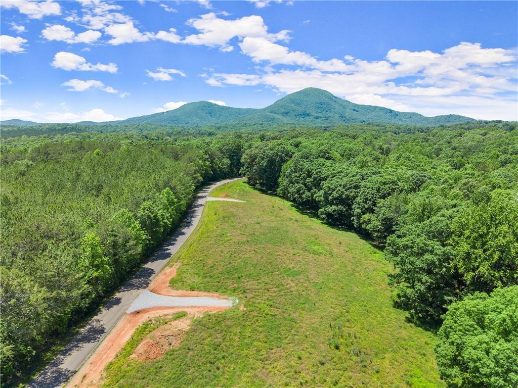 Arthur Allen Rd., Cleveland, GA 30528