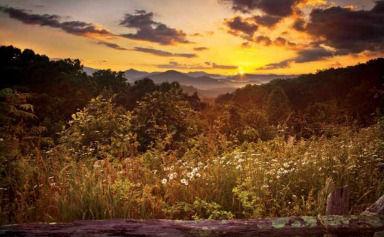 LOT 29 Raven Ridge Rd., Clayton, GA 30525