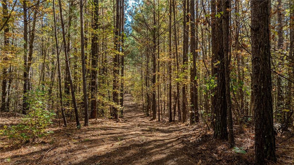 Jones Ferry Rd. #Lot 1, Chattahoochee Hills, GA 30268