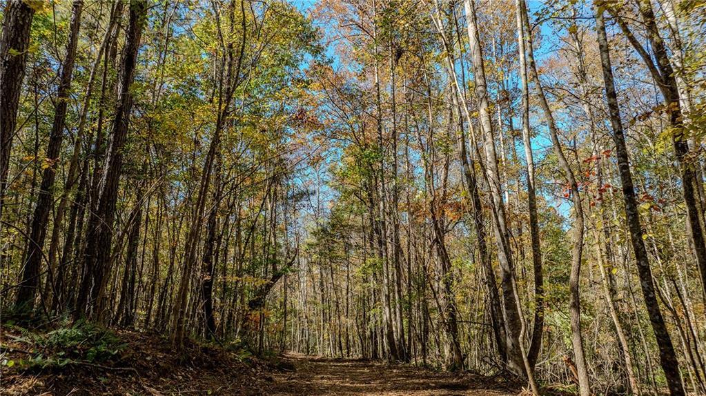 Jones Ferry Rd. #LOt 3, Chattahoochee Hills, GA 30268