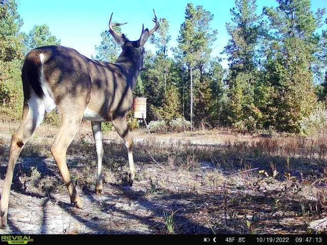 Indian Trail Rd., Sandersville, GA 31082