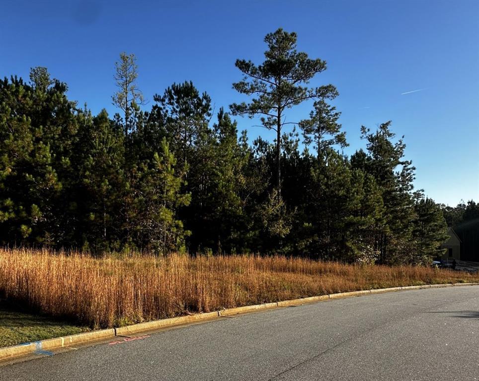 Lot 65 Green Ter., Newnan, GA 30265