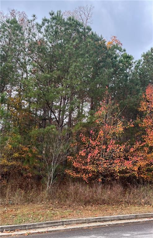 1075 Falkirk Ln., Stone Mountain, GA 30087