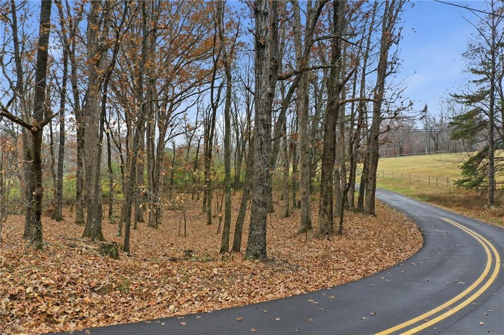 6.74 Bent Tree Dr., Jasper, GA 30143