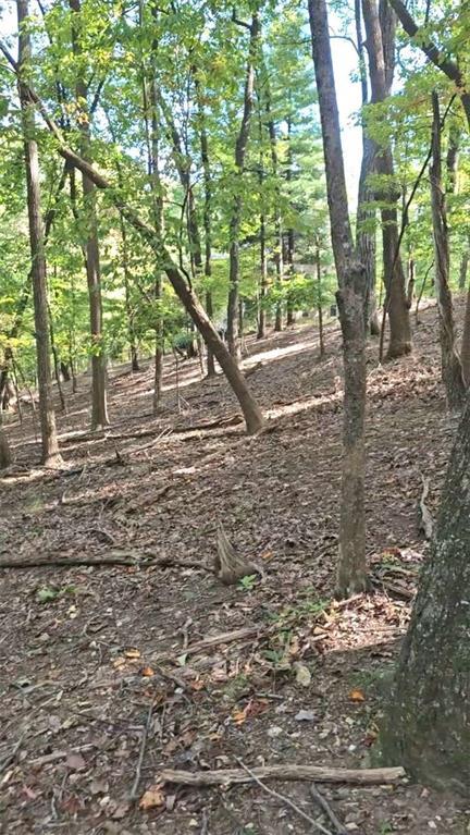 315 Windflower Dr., Big Canoe, GA 30534